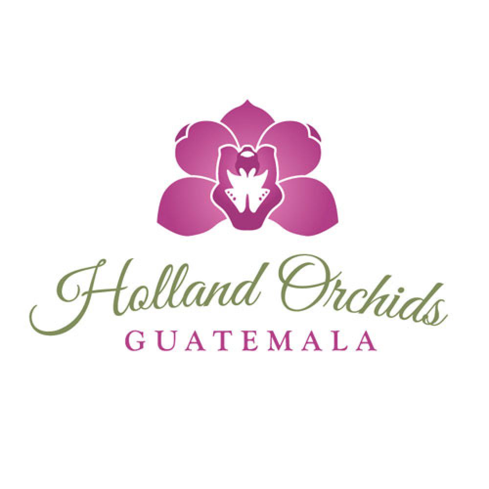 HOLLAND ORCHIDS