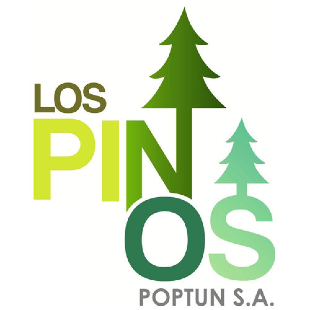 LOS PINOS POPTUN , S.A