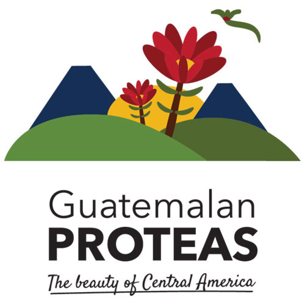 GUATEMALAN PROTEAS C&M, SOCIEDAD ANONIMA