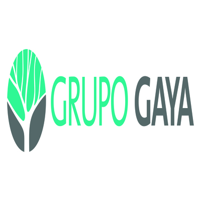 GRUPO GAYA