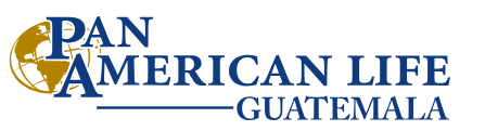 PAN AMERICAN SERVICES