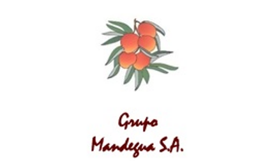 Grupo Mandegua S.A.